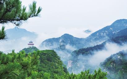 飞跃沙丘的小球